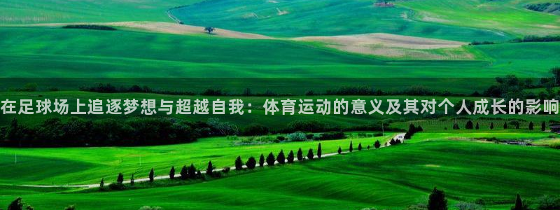 公海赌赌船官网下载招商电话号码:在足球场上追逐梦想与超越自我