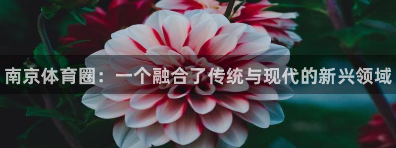 公海赌赌船官网下载平台注册要钱吗:南京体育圈:一个融合了传统